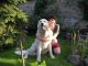 Bácskai Betyár Kennel fotóalbuma